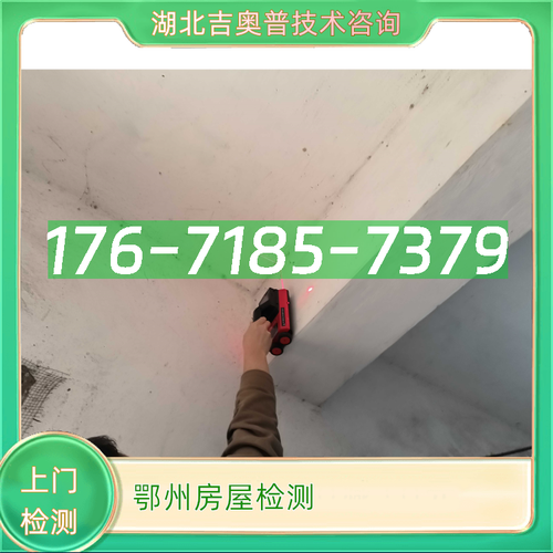 鄂州房屋检测服务 专业守护，安心宜居的忠诚卫士